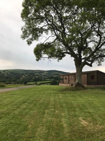 Redwood Lodge 러들로 외부 사진